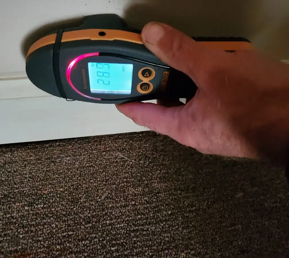 Moisture detection at baseboard during Sewage Cleanup & Sanitation in Robeson